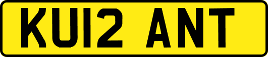 KU12ANT
