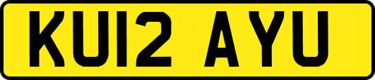 KU12AYU
