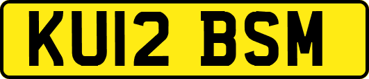 KU12BSM