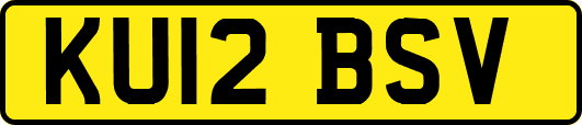 KU12BSV