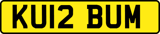 KU12BUM