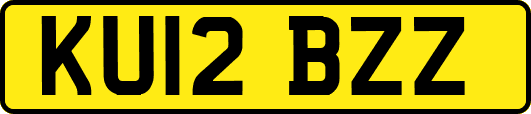 KU12BZZ