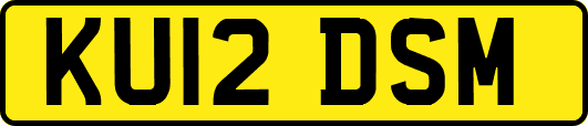 KU12DSM