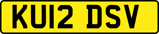 KU12DSV