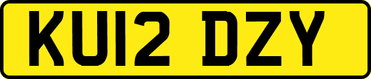 KU12DZY