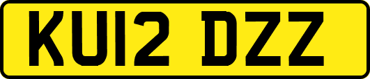 KU12DZZ