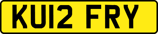 KU12FRY