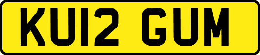 KU12GUM