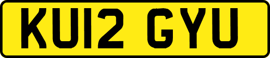 KU12GYU