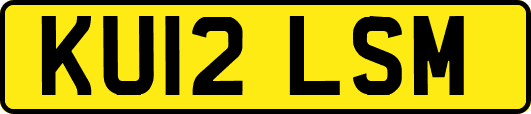 KU12LSM