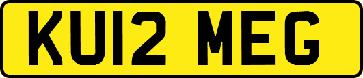 KU12MEG
