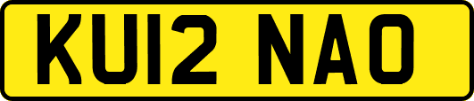 KU12NAO