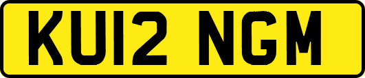 KU12NGM