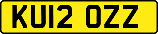 KU12OZZ