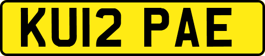 KU12PAE