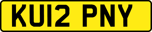 KU12PNY