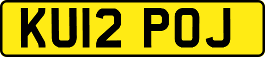 KU12POJ