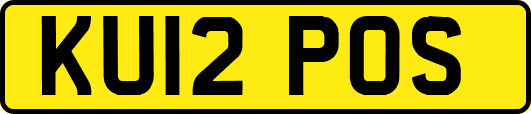 KU12POS