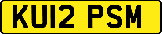 KU12PSM