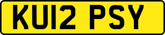KU12PSY