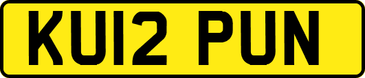 KU12PUN