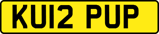 KU12PUP