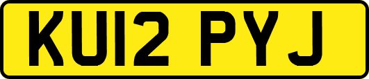 KU12PYJ