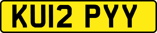 KU12PYY