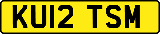 KU12TSM
