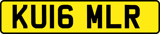 KU16MLR