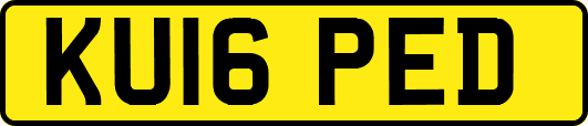 KU16PED