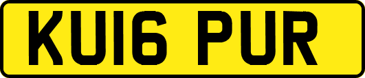 KU16PUR