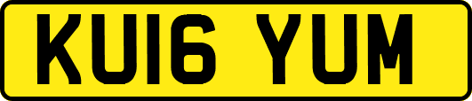 KU16YUM