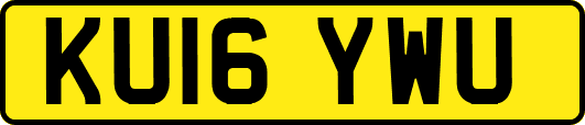KU16YWU