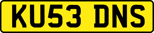 KU53DNS