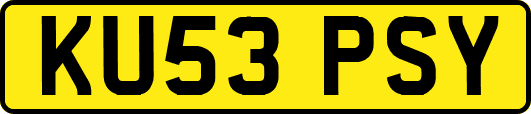 KU53PSY