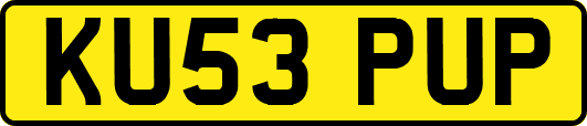 KU53PUP