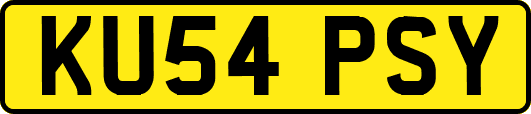 KU54PSY