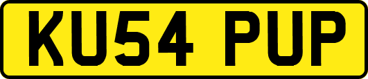 KU54PUP