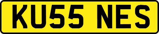 KU55NES