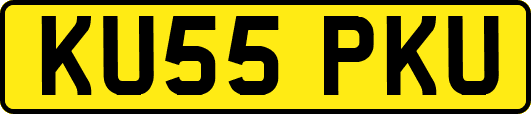 KU55PKU