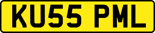 KU55PML