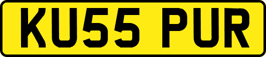 KU55PUR