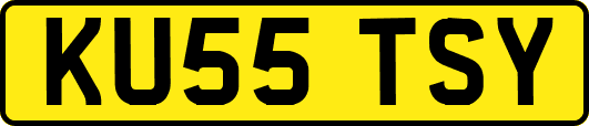 KU55TSY