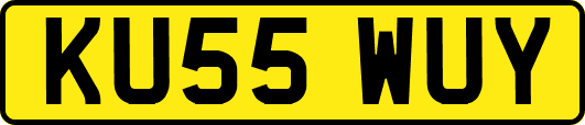KU55WUY