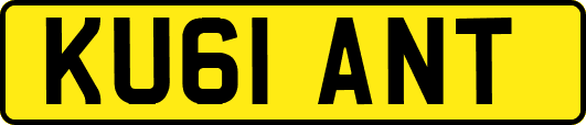 KU61ANT
