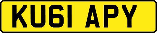 KU61APY