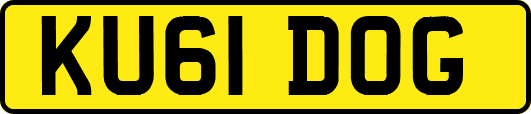 KU61DOG
