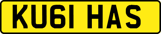 KU61HAS