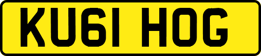 KU61HOG